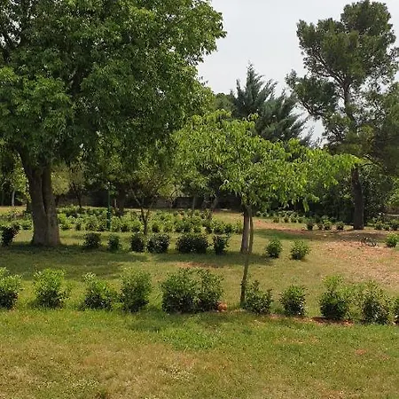 Apartmani Paron Sime Seline Exterior foto