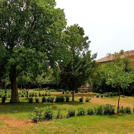 Apartmani Paron Sime Seline Exterior foto