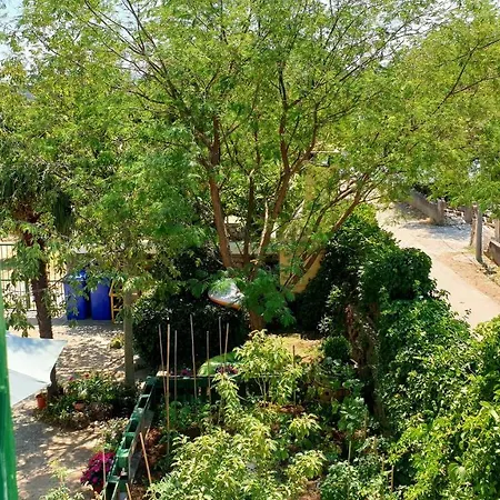Apartmani Paron Sime Seline Exterior foto