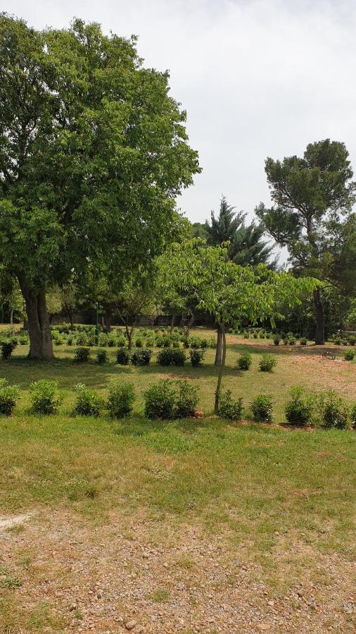 Paron Sime Camping