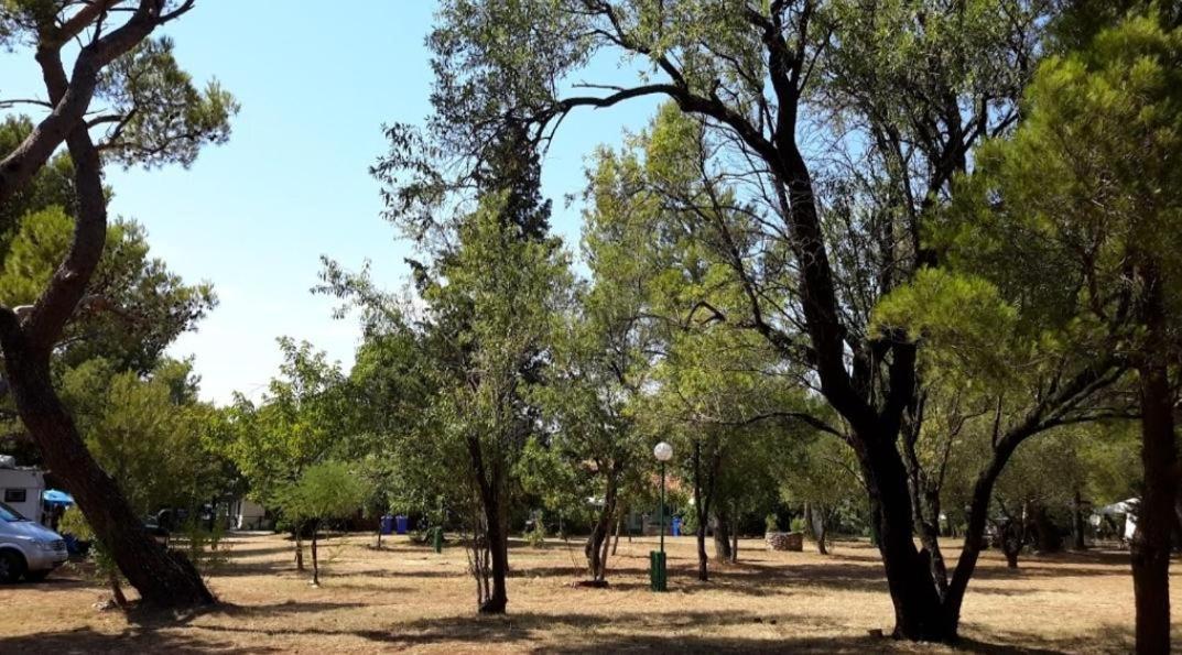 Campsite Paron Sime