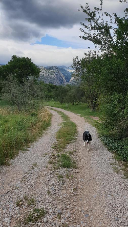 Paron Sime Camping Seline